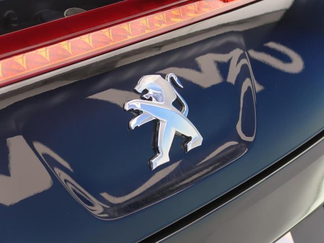 外車のエンブレムについた馬は同じ？ポルシェやフェラーリが好きになる豆知識中古車の ネクステージ