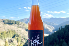 徳島美郷の梅酒大畠酒造