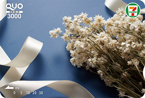 QUOカードオンラインストアコンビニエンスストア店舗限定販売QUOカード