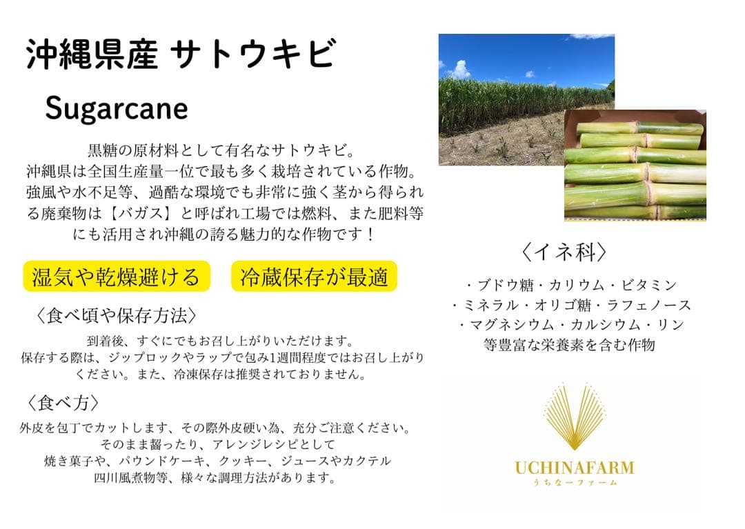 サトウキビ栽培が可能な日本の北限はどこ