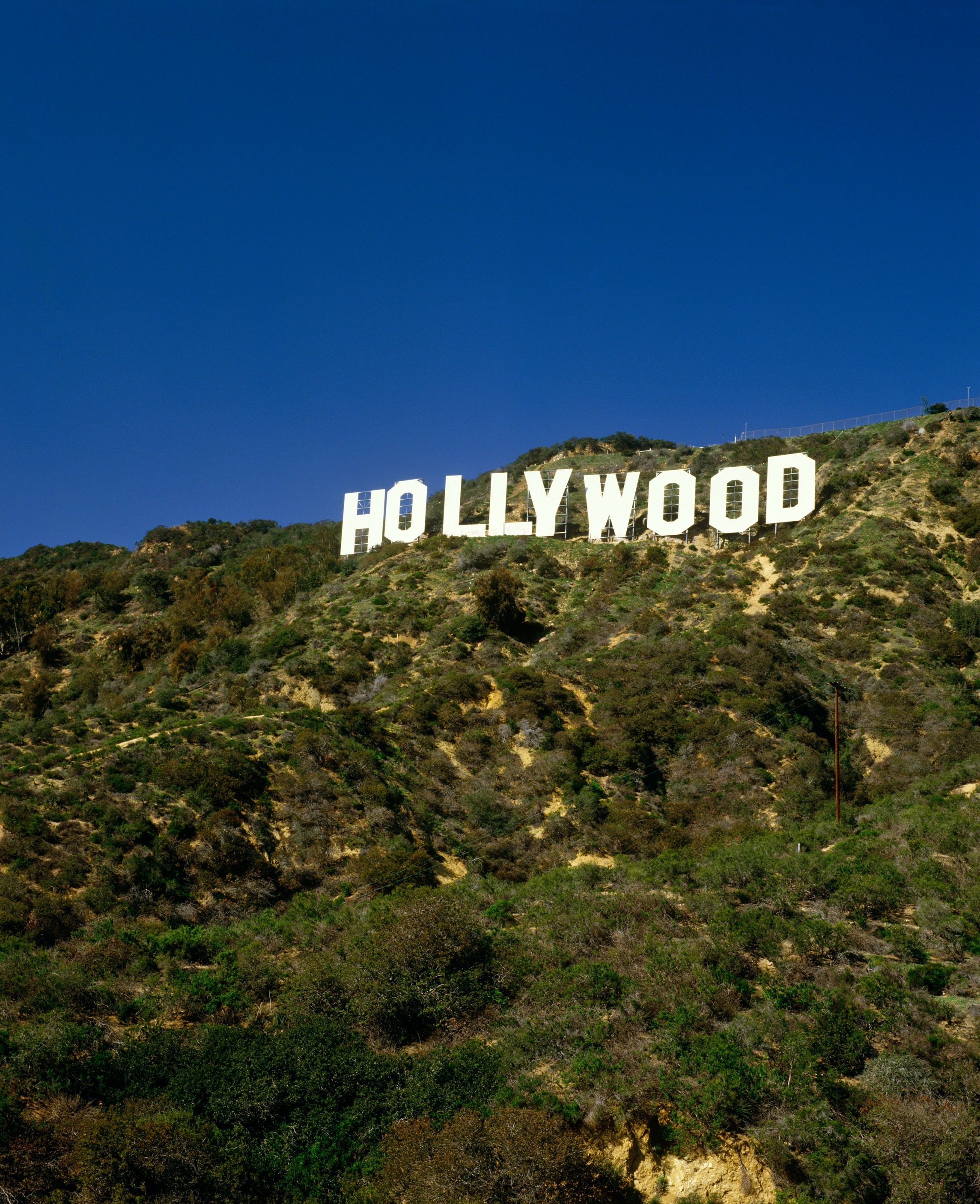 770点を超えるロサンゼルス ハリウッドヒルズのストックフォト、写真、そしてロイヤリティフリーの画像 - iStock