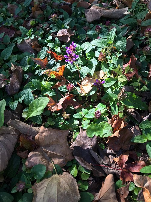 SALT Higashikawa@salt_higashikawa· Instagram photos and Reels