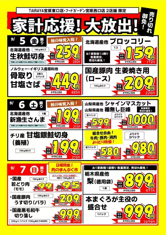 アルファベット・英語表記の法人印鑑 - 印鑑をデザインするSirusi 公式