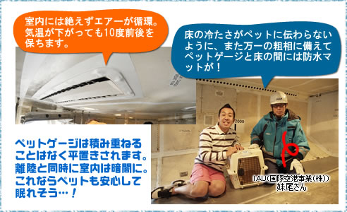 飛行機の貨物室の温度管理で貨物の安全を確保するポイント