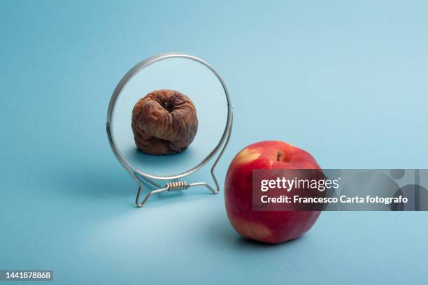 腐ったリンゴをどうするか？ディスカヴァーebook選書釘原直樹組織論KindleストアAmazon