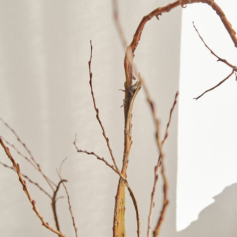 ヤナギの枝 小・中・太枝セットペットの止まり木 - とりきち横丁