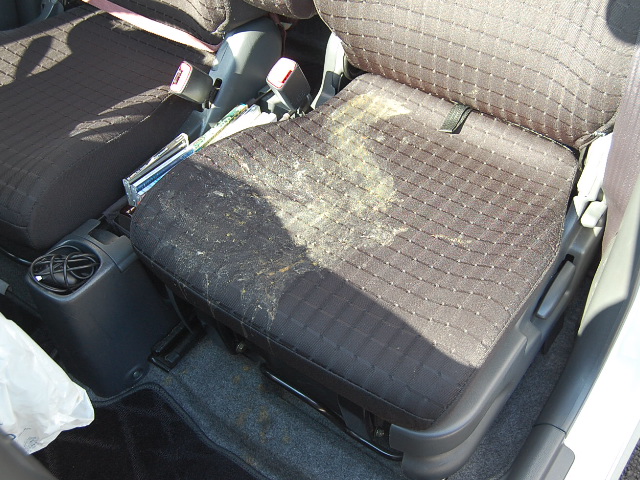 車内クリーニングをプロに頼む方法は？料金やメリットを解説最安修理.com