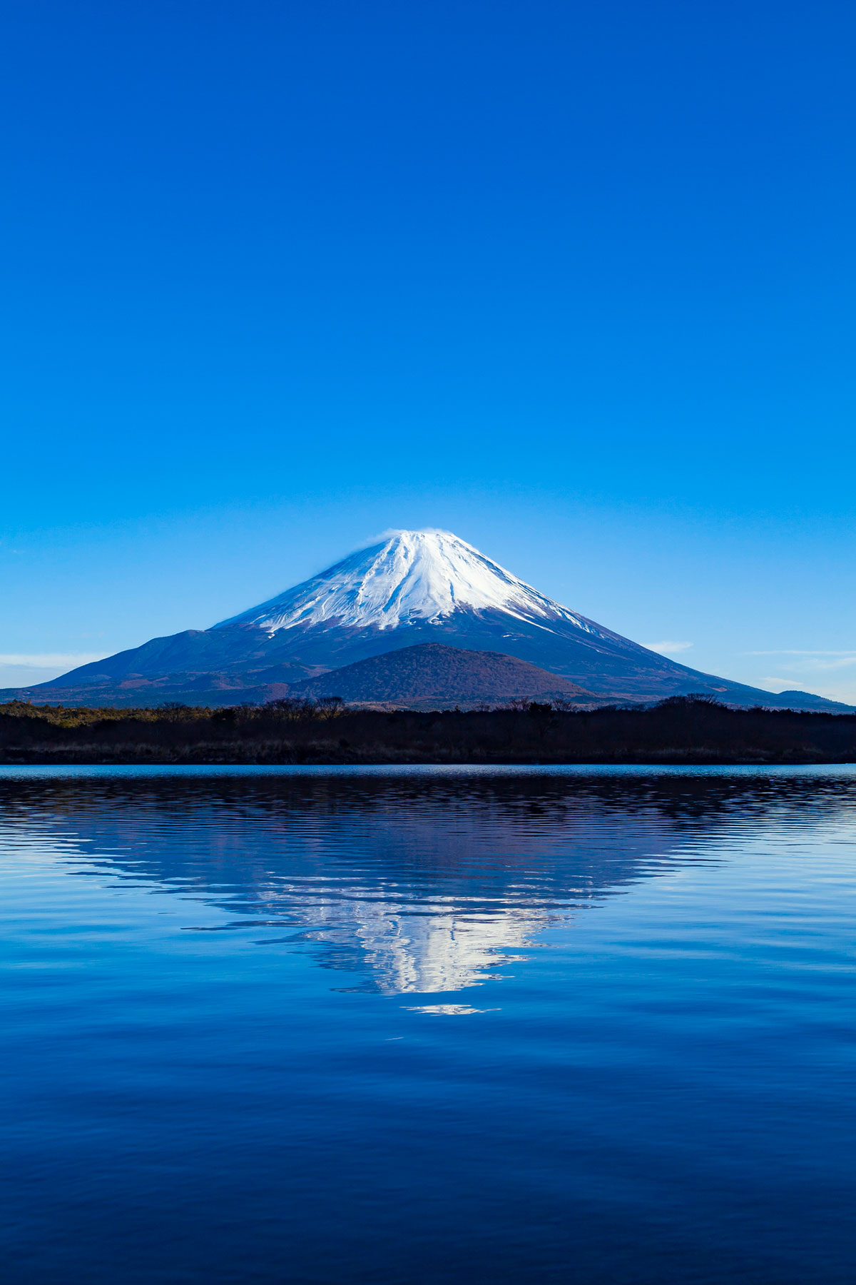 あらゆる運氣を上げる・ステージアップ◇虹龍様┃開運お守り待ち受け画像 楽昇アートKIR