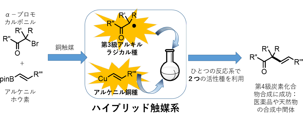 鈴木-宮浦カップリングは汎用性ナンバーワンのクロスカップリング反応 - とらおの有機化学
