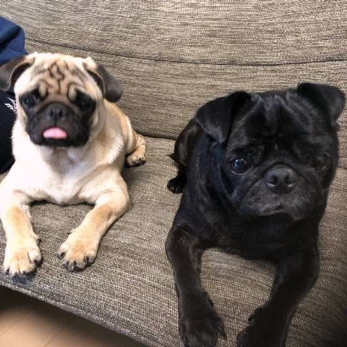 知っておこう、「祝儀袋・不祝儀袋」の選び方＆マナーギフトコンシェルジュ リンベル