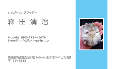 フォト名刺サロン専門印刷通販サイト サロンプリント