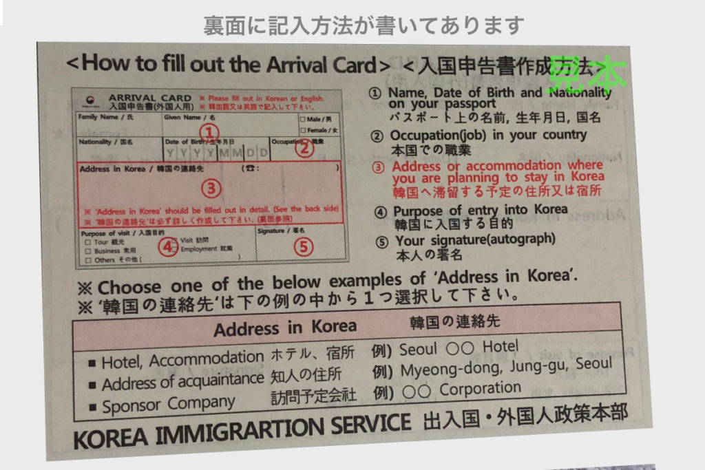 韓国 入国カード 記入例