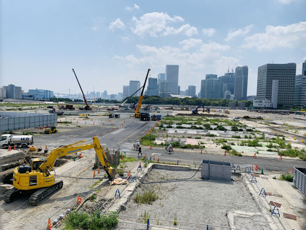 築地市場、83年の歴史に幕 すみついた野良猫やネズミはどうなる？ 周辺に移動の懸念もオトナンサ