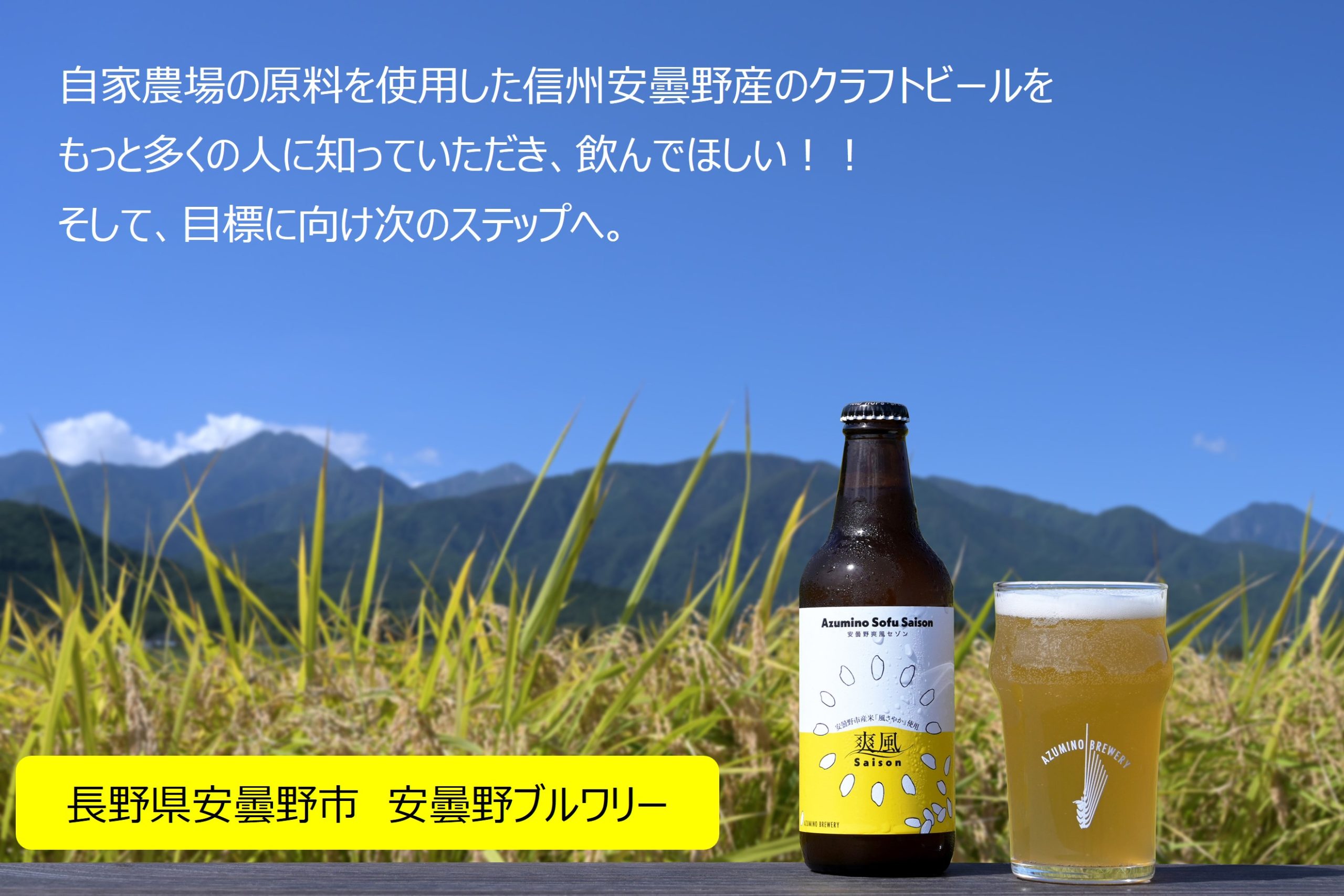 驀進特別 2024 データ分析・予想オッズWIN5的中したい系 男子・女子向けの教科書「ういあて！」