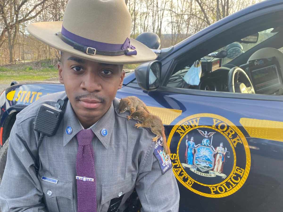 ニュージーランドの防犯情報：ニュージーランドで警察官になりませんか？ニュージーランド発 Gekkan NZ Web