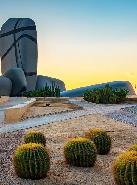 それでもサウジアラビア消費市場は狙うべきか地域・分析レポート - 海外ビジネス情報 - ジェトロ