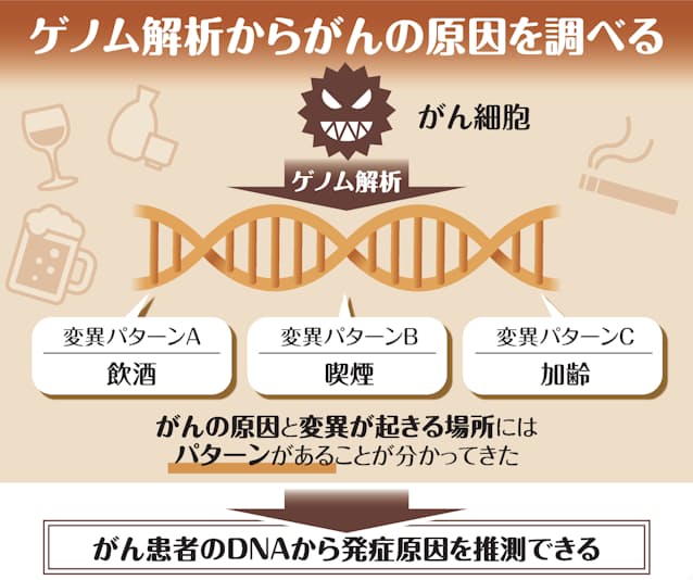 STAY HOME ＤＶＤ視聴『アドバンス山岳ガイド 剱岳八ツ峰』～思い出の詰まったＤＶＤ～ - 小林美智子山岳看護師事務所 山ナースガイドオフィス