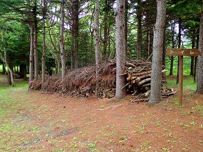 拾った薪で焚き火する！失敗しない３つのコツ 薪代節約