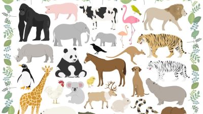 ハンガーで始めた環境貢献日本コパック株式会社