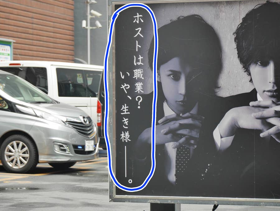 東海のマルックス マルチーズ×ダックス の子犬を価格や特徴で探すペットショップ探すならペットミ