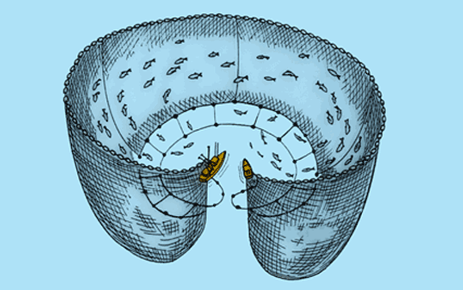 庶民のマグロ」の資源危機 巻き網漁規制、具体策カギ - 日本経済新聞