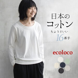 シリーズ販売累計5万枚以上ニット セーター レディース ボーダー プルオーバー 綿100% 綿ニット 着後レビューでクーポン☆ 14ゲージミラノ編み強撚 エコロコ トップス e+大きいサイズ大きめ 大きいサイズ 春 秋 冬 春服 24AW0830R, earth_eco_locoニット