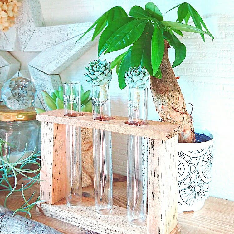 100均の試験管8選！ダイソー・セリア別！インテリアに！スタンドも