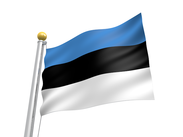 エストニア国旗140×210cm エストニア国旗 ポータブルフラッグ 旗サイズ25×37.5cm テトロン