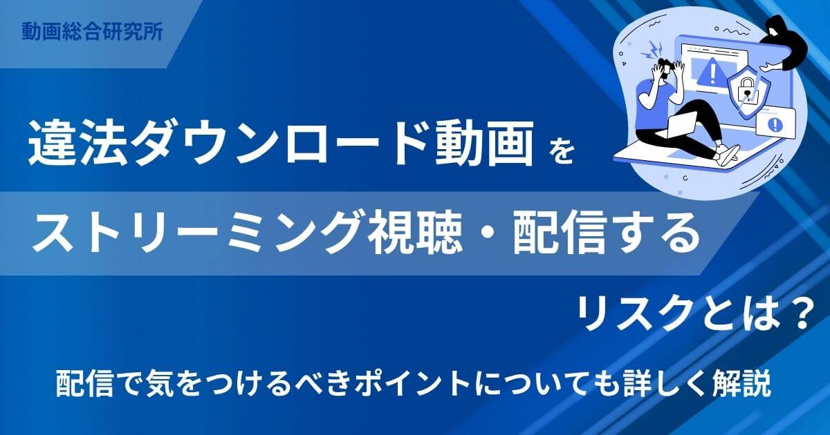 2025年 DVD Decrypter 最新版ダウンロード・日本語化ファイルのインストール方法