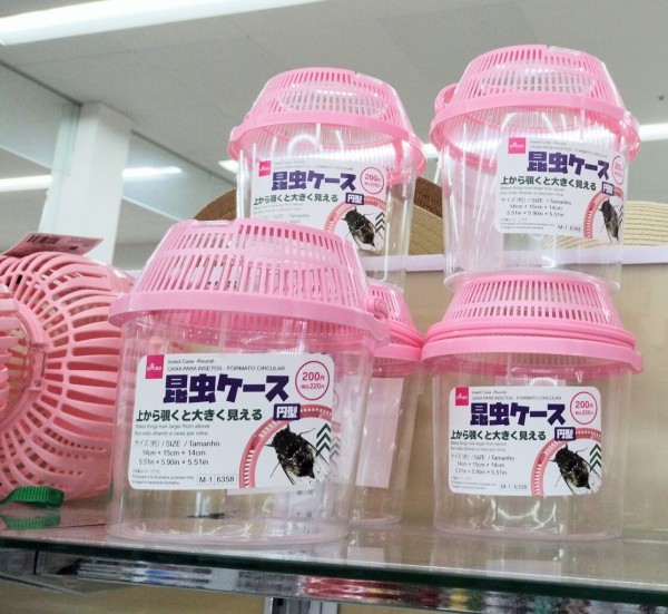 ダイソー虫かご2024いつからいつまで？何リットル？300円のサイズは？ - トレンドコフレ Trendcoffret