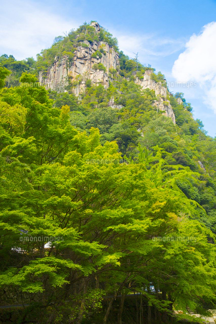 Rug.Jの右腕塾②FC？ 右腕？「独立しない」という覚悟ボブログ