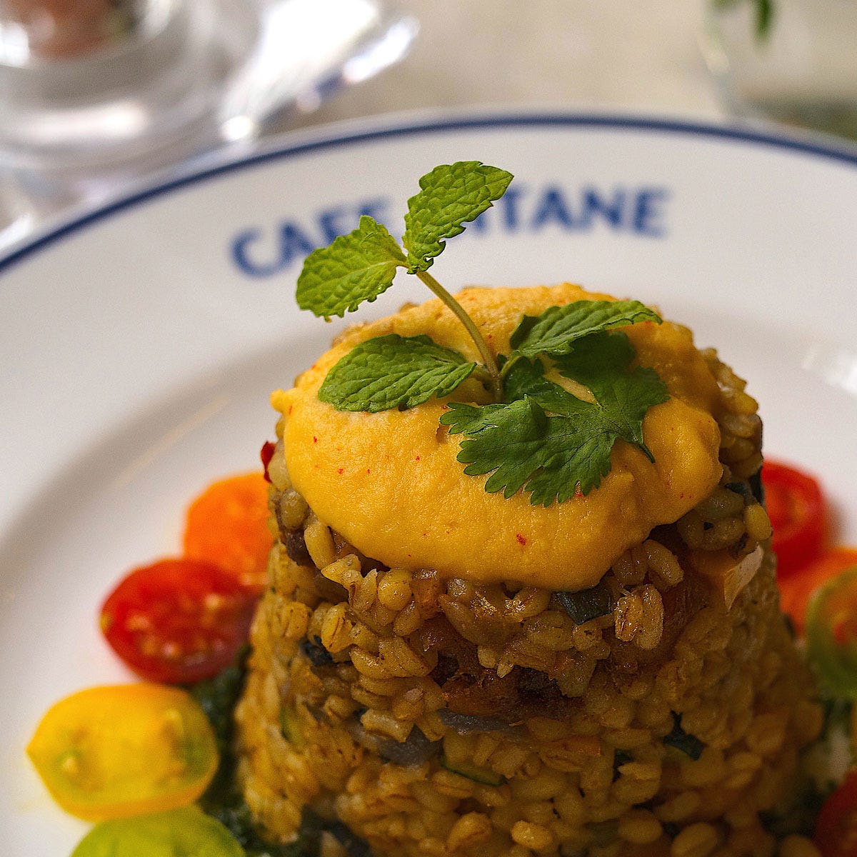 Cafe Gitane渋谷区最新のレストランの口コミ 2025年- トリップアドバイザ