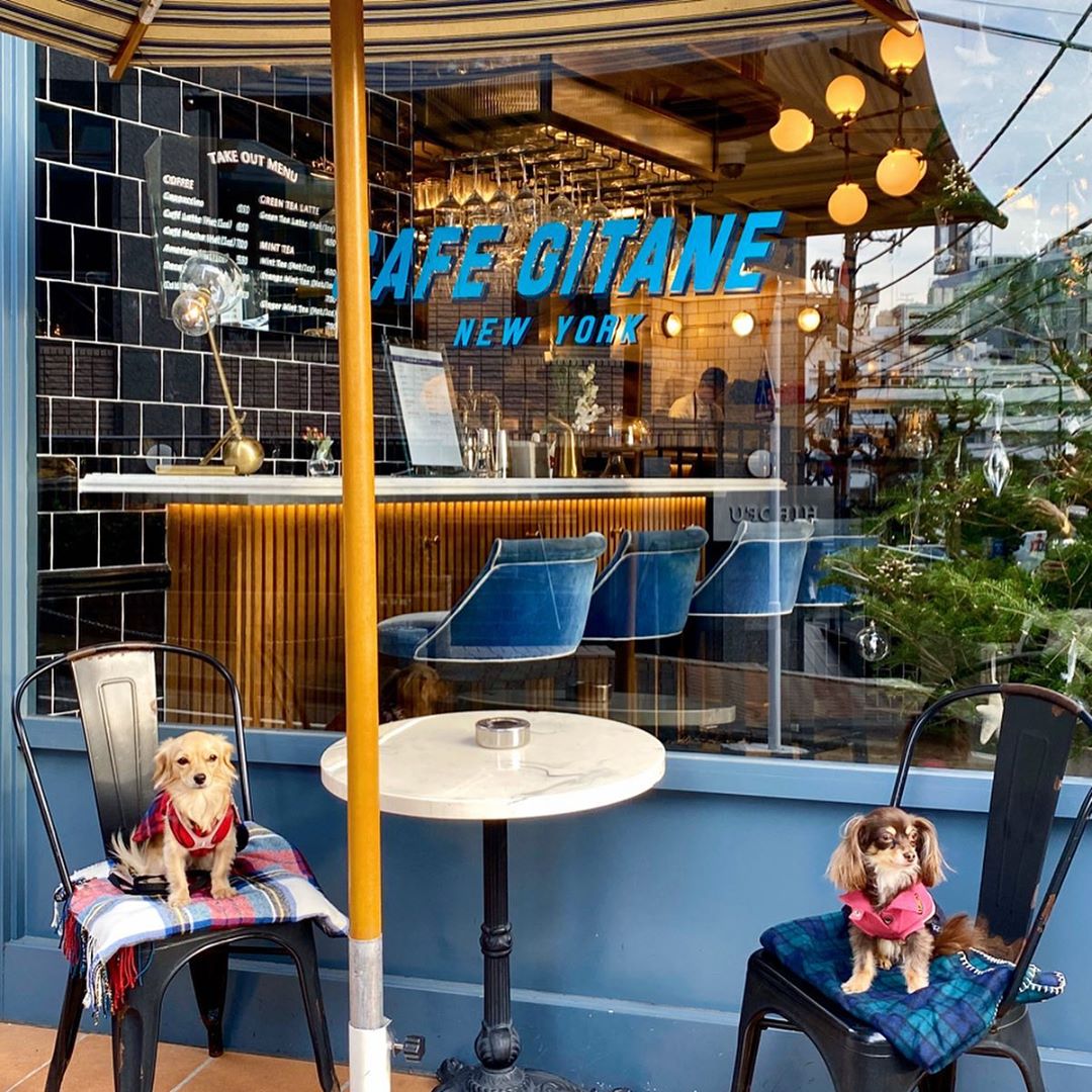 Cafe Gitane カフェ ジタン株式会社 GROW OFFICEの求人募集・採用情報飲食店求人グルメキャリ