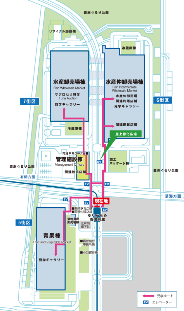 豊洲市場での青果購入ガイド - Genspark