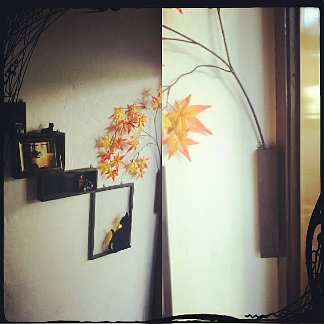 こういうウォールラックってどこで売ってますか？ - なるべく100均で- Yahoo!知恵袋