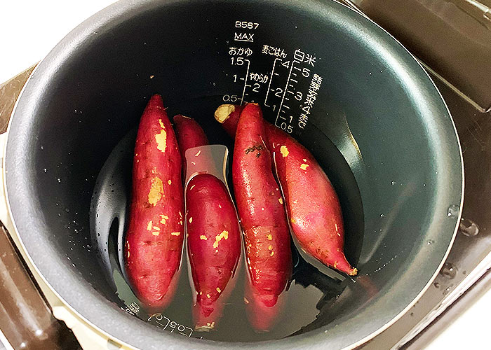 続・梅仕事☆ダイソーの多用途ネットで梅干しを干すLEE