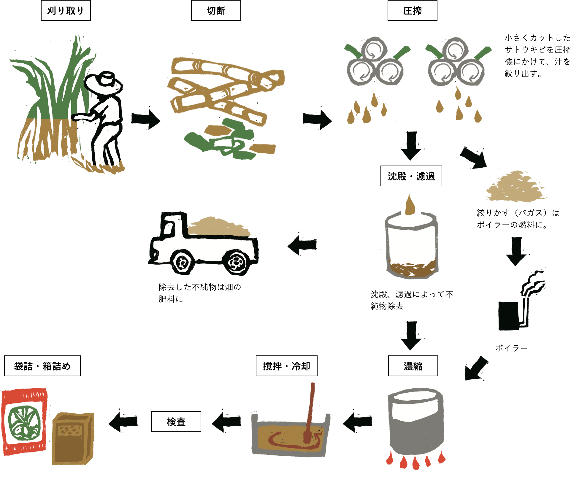 沖縄のサトウキビは絶滅する？ 沖縄移住生活始めました