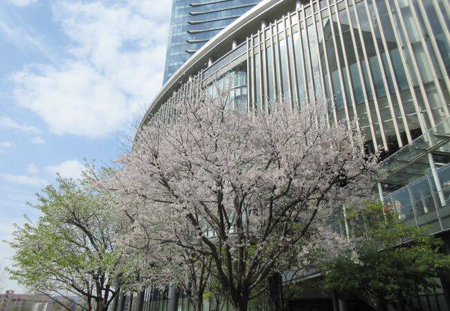 大阪グランフロントうめきた広場スケートリンクチケットや料金営業時間など: 大阪主婦の雑談日記