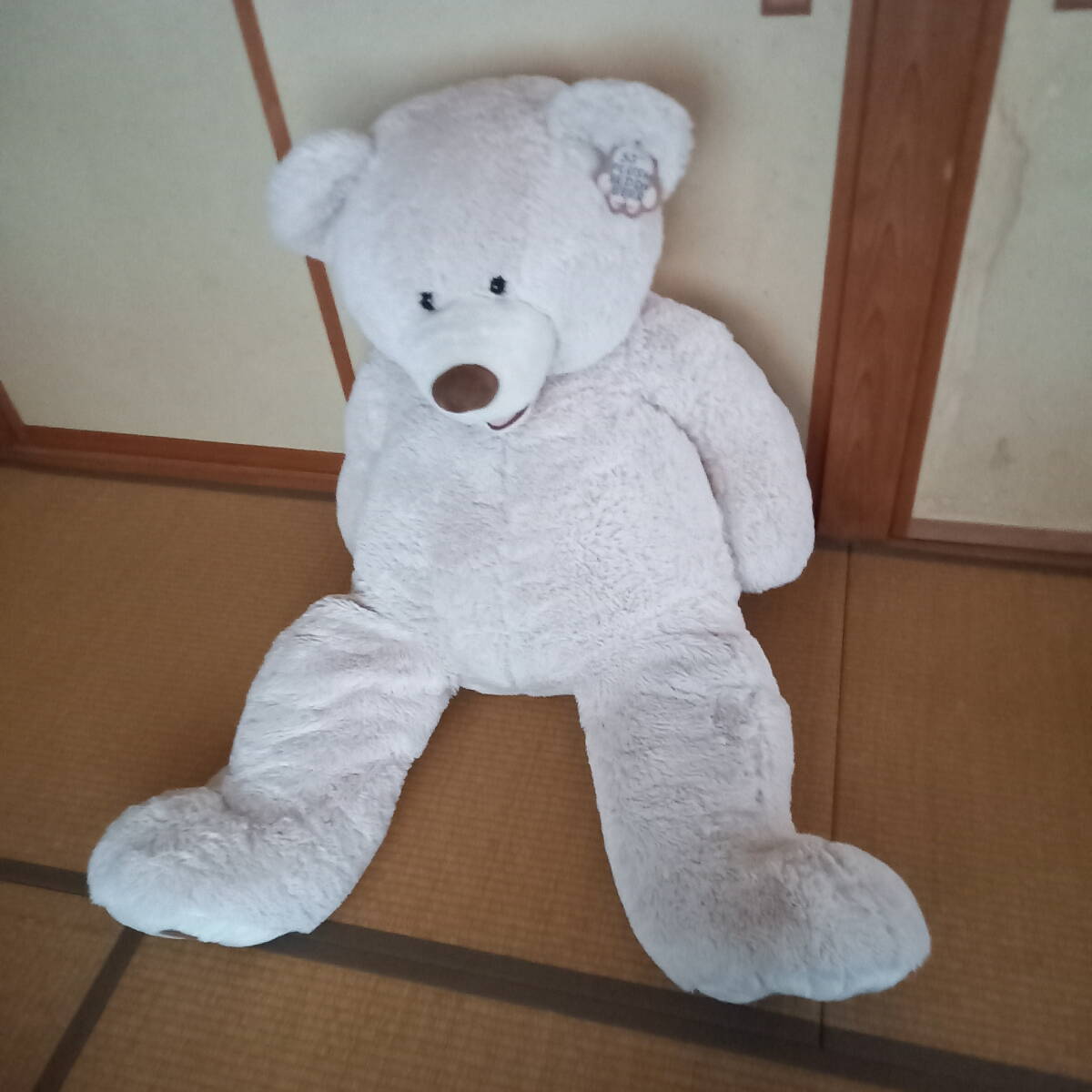 コストコのくま Amazon.co.jp: コストコのくま 135cm : おもちゃ