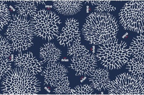 オリオン・ビールのリニューアル・デザインに豪州在住・比嘉隼斗さんの作品が採用！―一般投票1位に輝き、7月15日より販売開始 – トピックス日豪プレス - オーストラリアの生活情報サイトNICHIGO PRESS