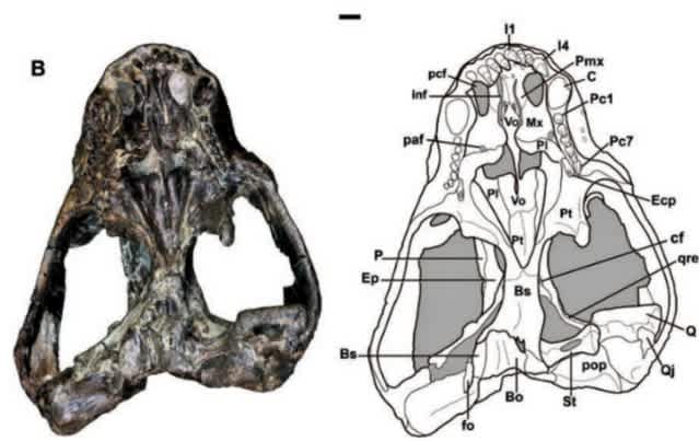 エルネア王国4代目編・その4: MILUログ・エルネア王国プレイ日記