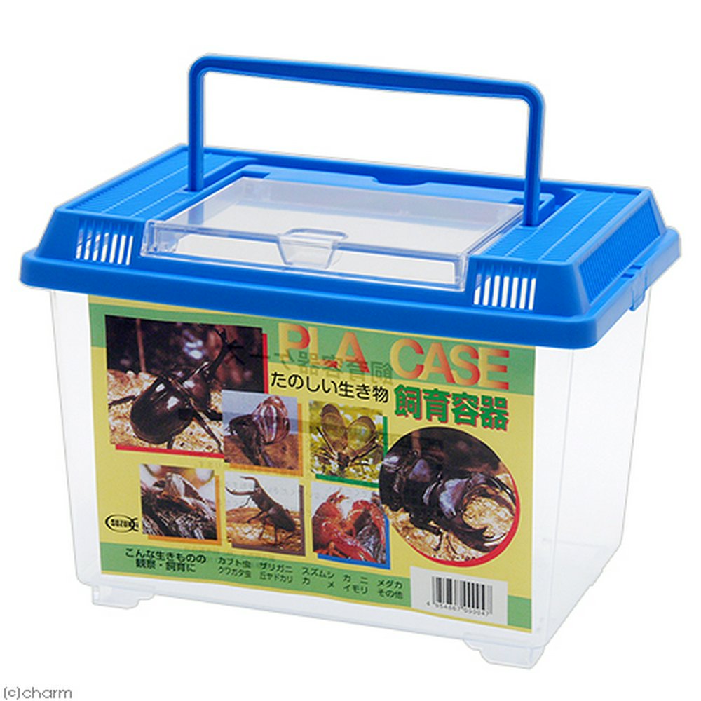 ダイソー 折りたたみ虫かご 義務づけ