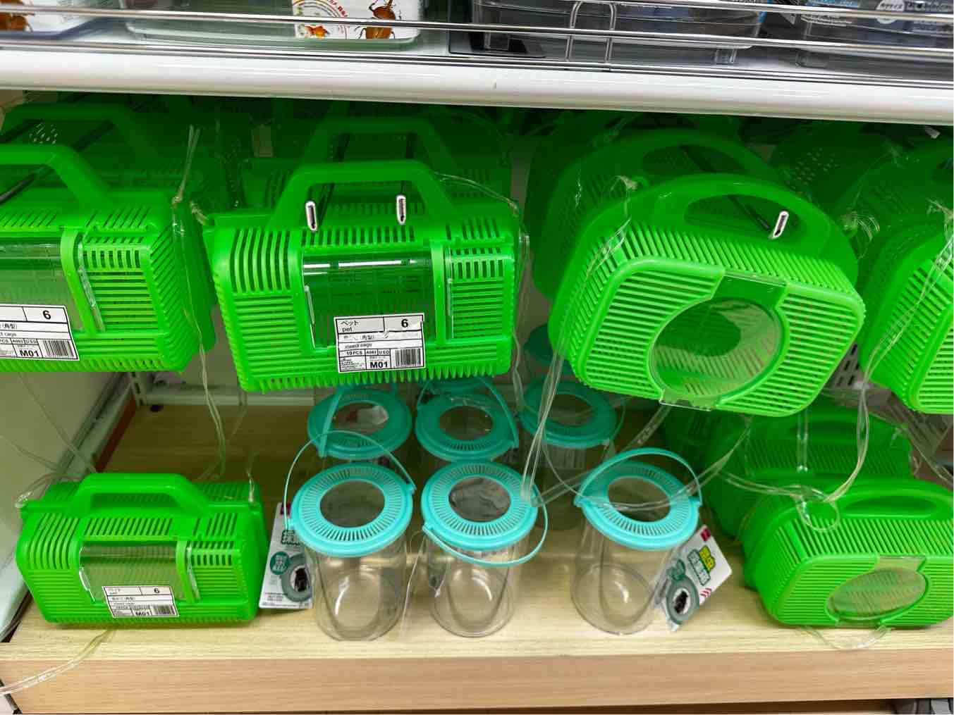 ダイソーで急遽虫かごを購入30代小学生ママ子育て日常ブログ