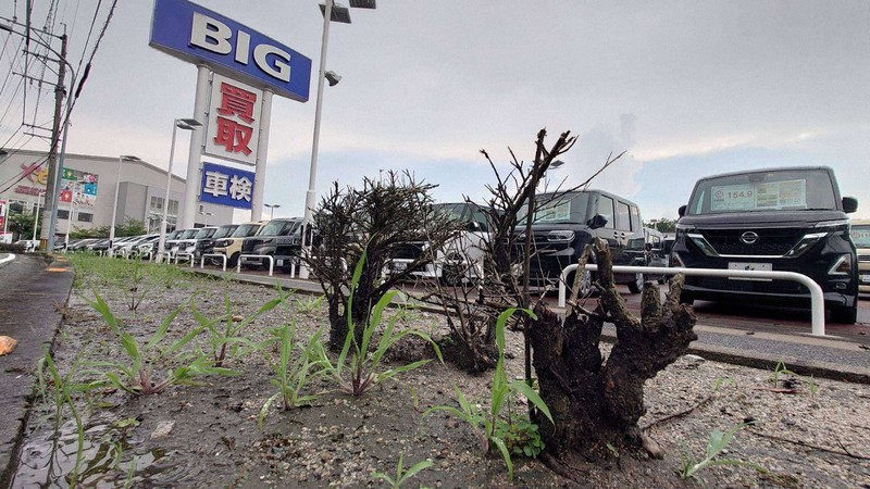 WECARS ウィーカーズ・旧ビッグモーター の口コミ・評判 2,920件みん評