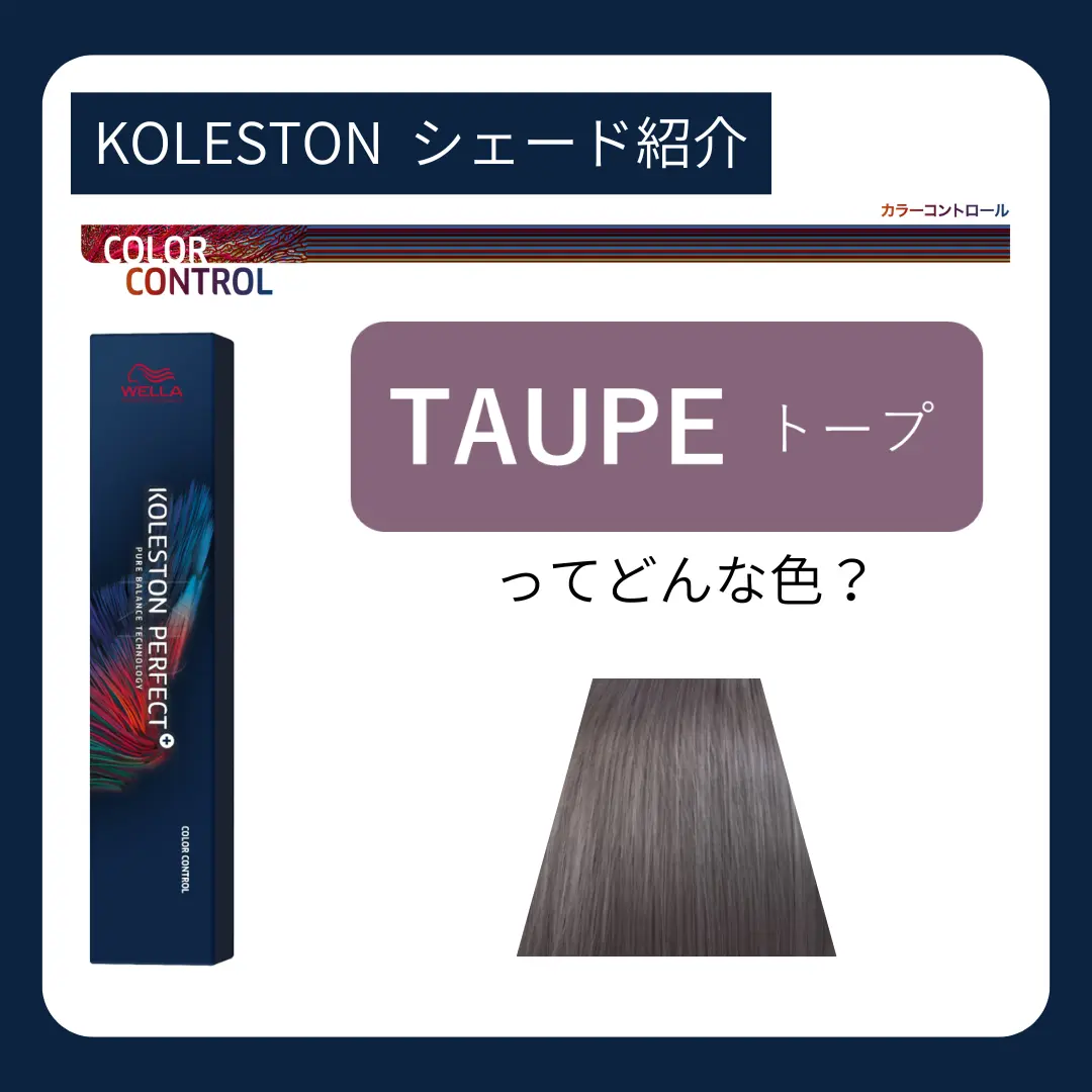 ウエラ・ホーユー ヘアカラーチャート 2冊セット 18％OFFウエラ・ホーユー ヘアカラーチャート