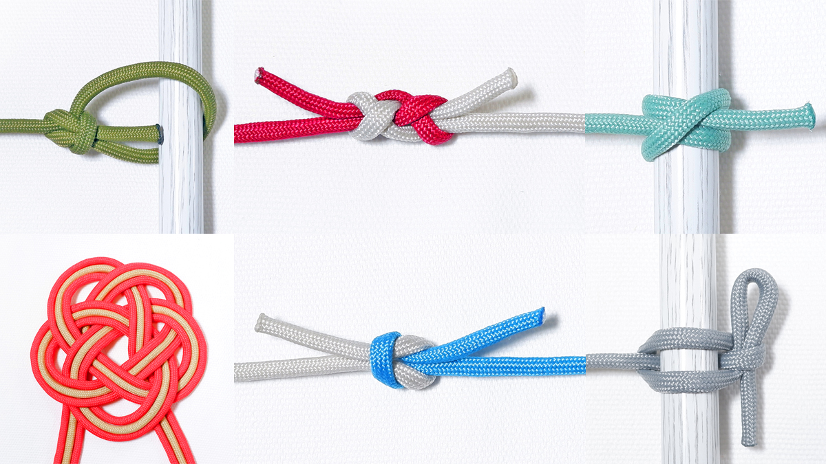 フィールドノート自然の中で身を守る