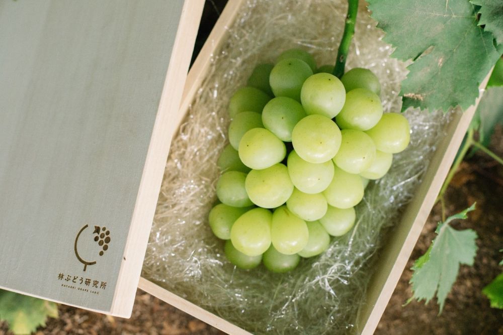 岡山県キッチンカー・移動販売で独立・開業できるフランチャイズ募集一覧日本最大級！『フランチャイズ比較ネット』