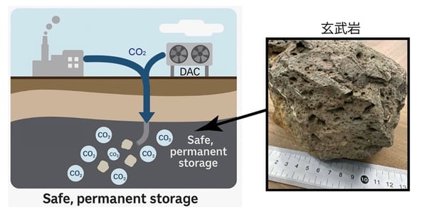 長毛種向け ブラックラバー・ストロング・ドッグブラシ 150 x 100 mm正規品 Herm Sprenger ドイツ製