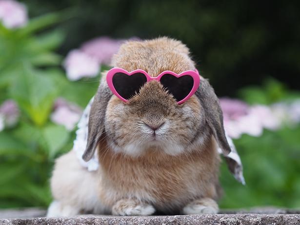 イケイケな感じという意味とは？ - ①見た目がイケイケな感じってどういう事ですか？いい意味