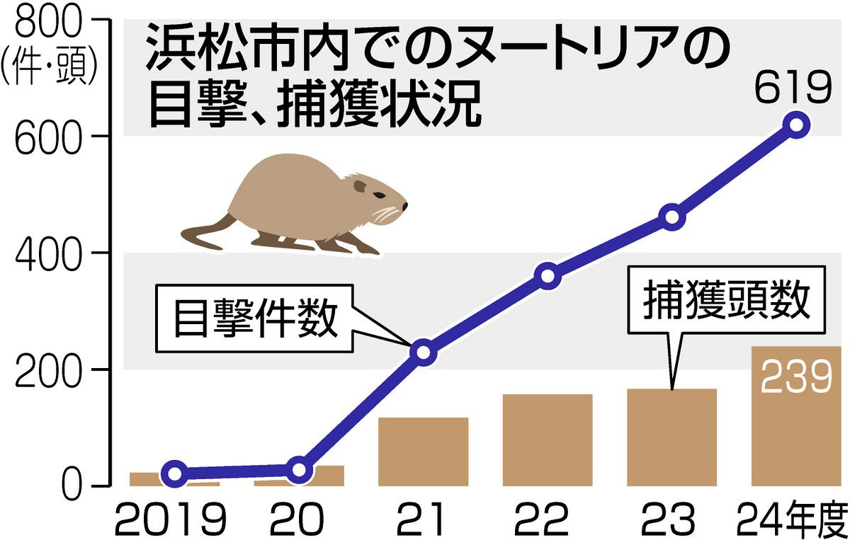 地雷を探知するネズミが登場、結核もかぎ分ける - SWI swissinfo.ch